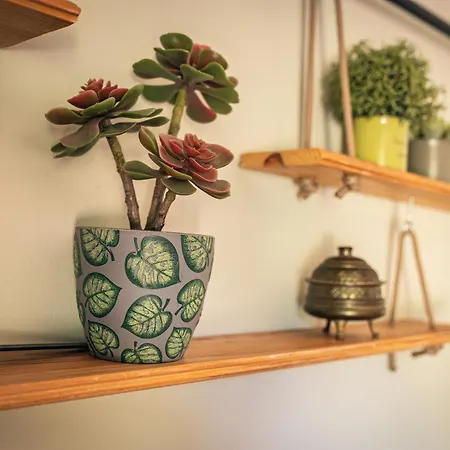 Villa Finca La Naguada Gran Casa Rural En Infiesto