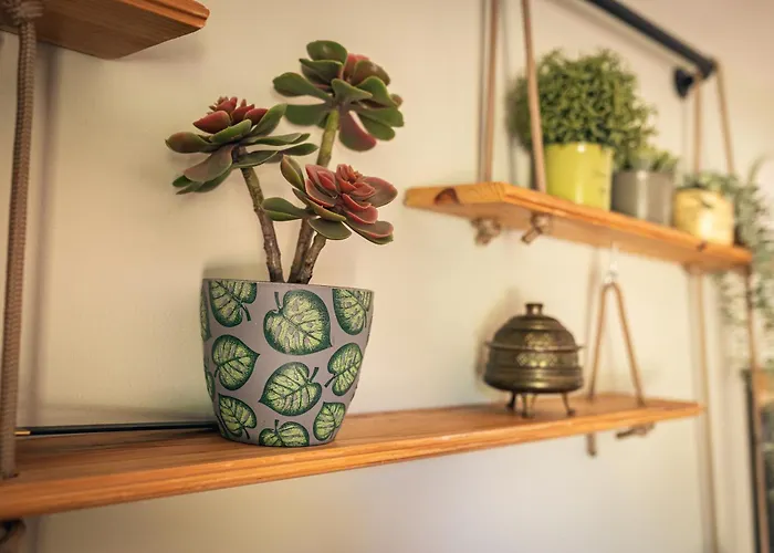 Villa Finca La Naguada Gran Casa Rural En Infiesto